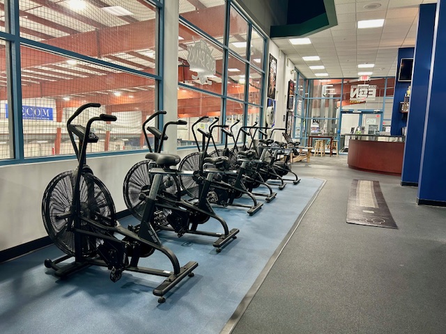 Cardio Equipment